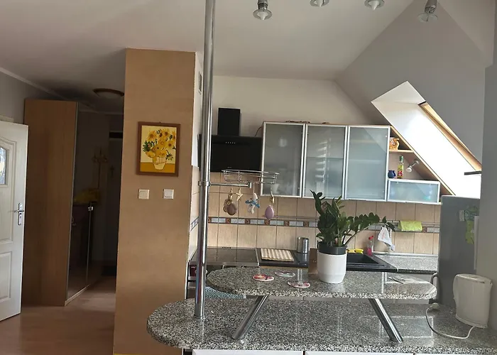 Przytulne Mieszkanie Cosy Apartment