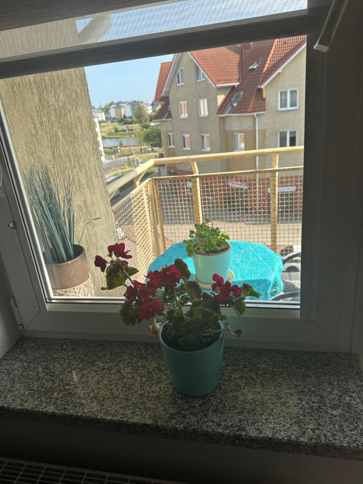 Przytulne Mieszkanie Cosy