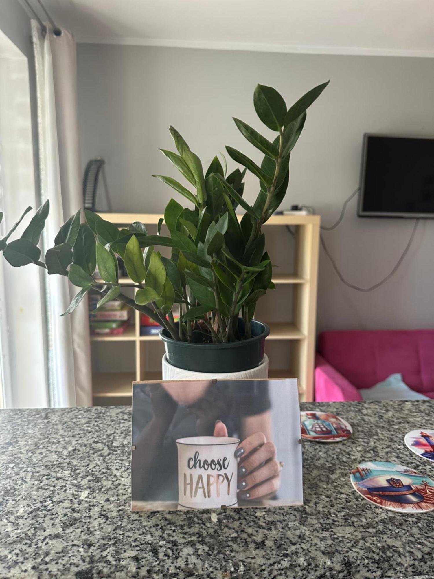 Apartment Przytulne Mieszkanie Cosy Gdansk